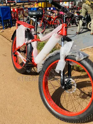 Golira Bike/ Fat Tyre /Bicycle /Bike 26”