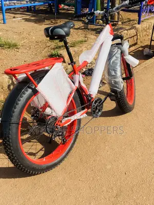 Shock / Surprise/Living Raw /Fat Tyre /Bike /Bicycle