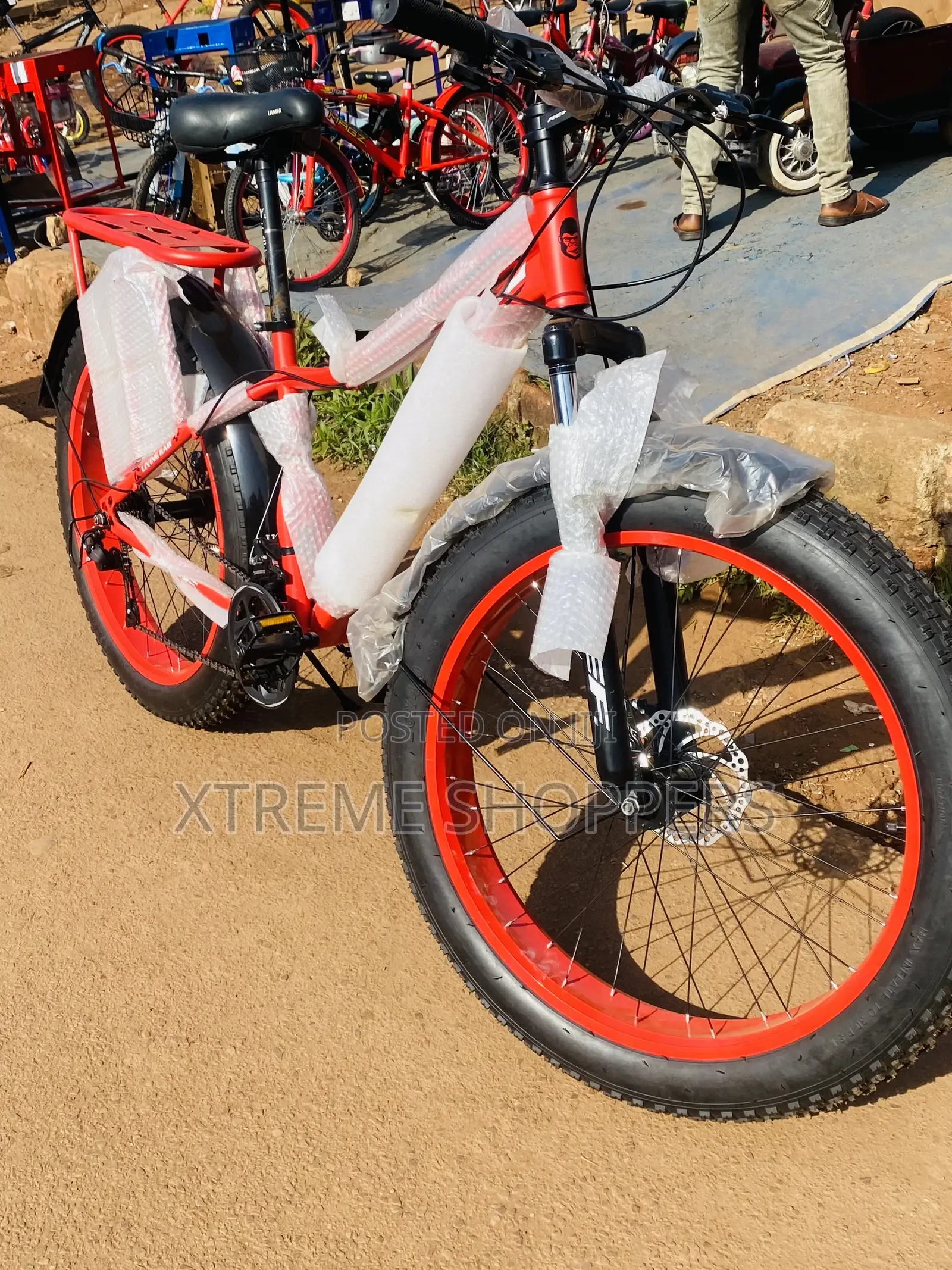 Shock / Surprise/Living Raw /Fat Tyre /Bike /Bicycle