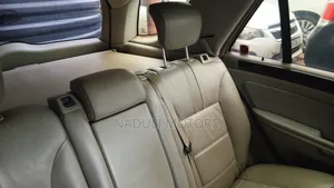 Mercedes-Benz M Class 2010 Silver