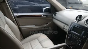 Mercedes-Benz M Class 2010 Silver