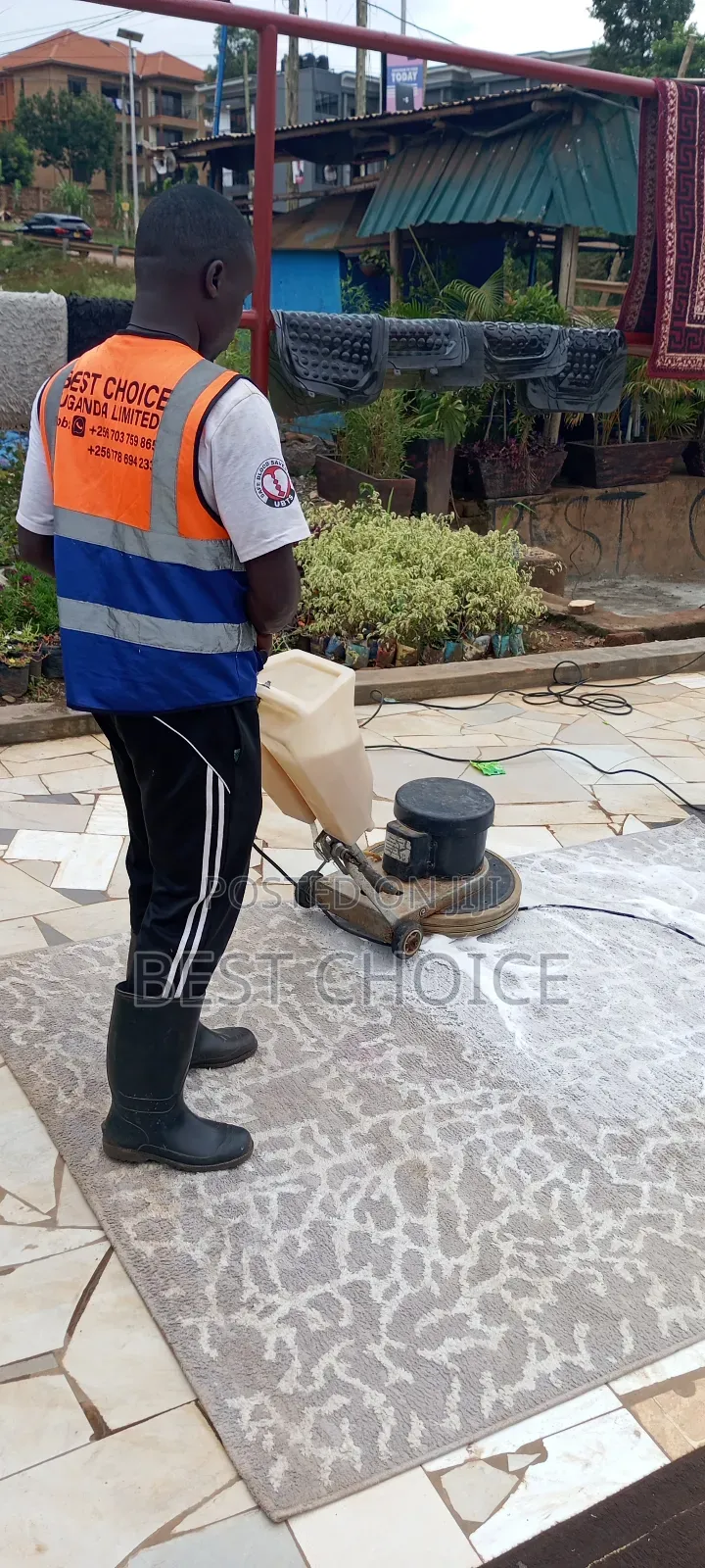 Expert Carpet Cleaning Services, Carpet Care Done Right