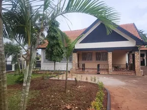 3bdrm House in Muyenga, Makindye for rent
