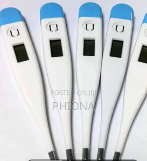 Digital Therrmometer