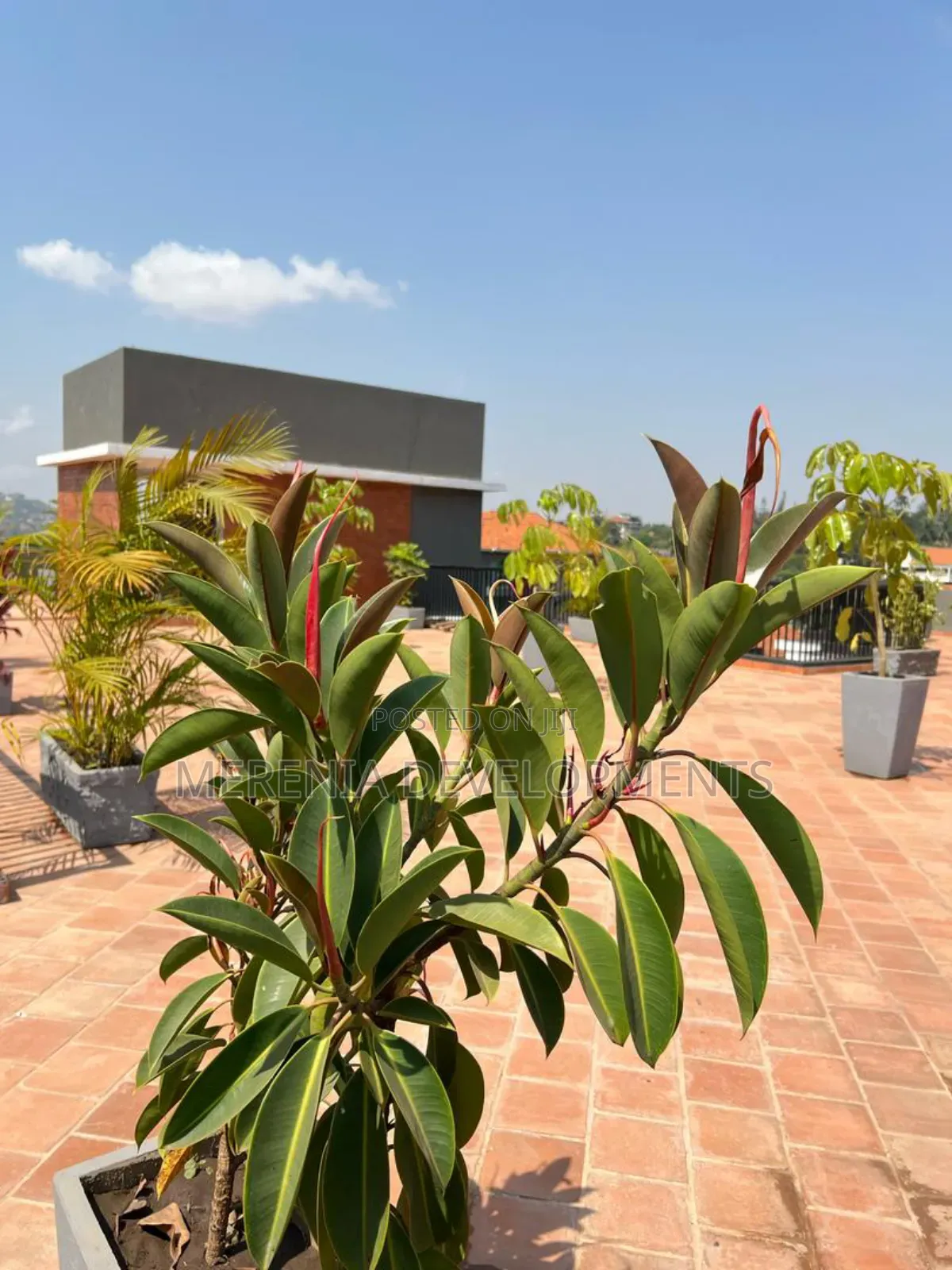 Furnished 1bdrm Apartment in Kiggo, Wakiso / Wakiso for rent