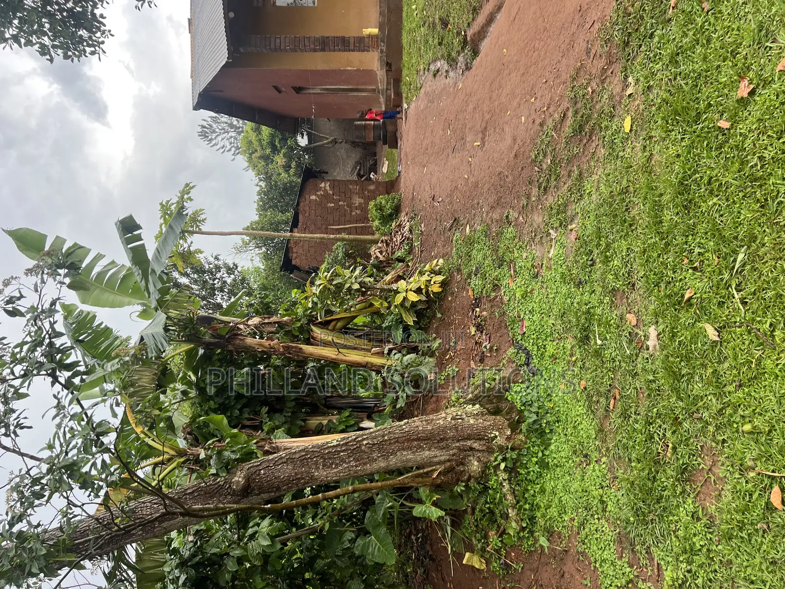 Plot 100ft by 100ft Along Hoima Road Highway at Selinya