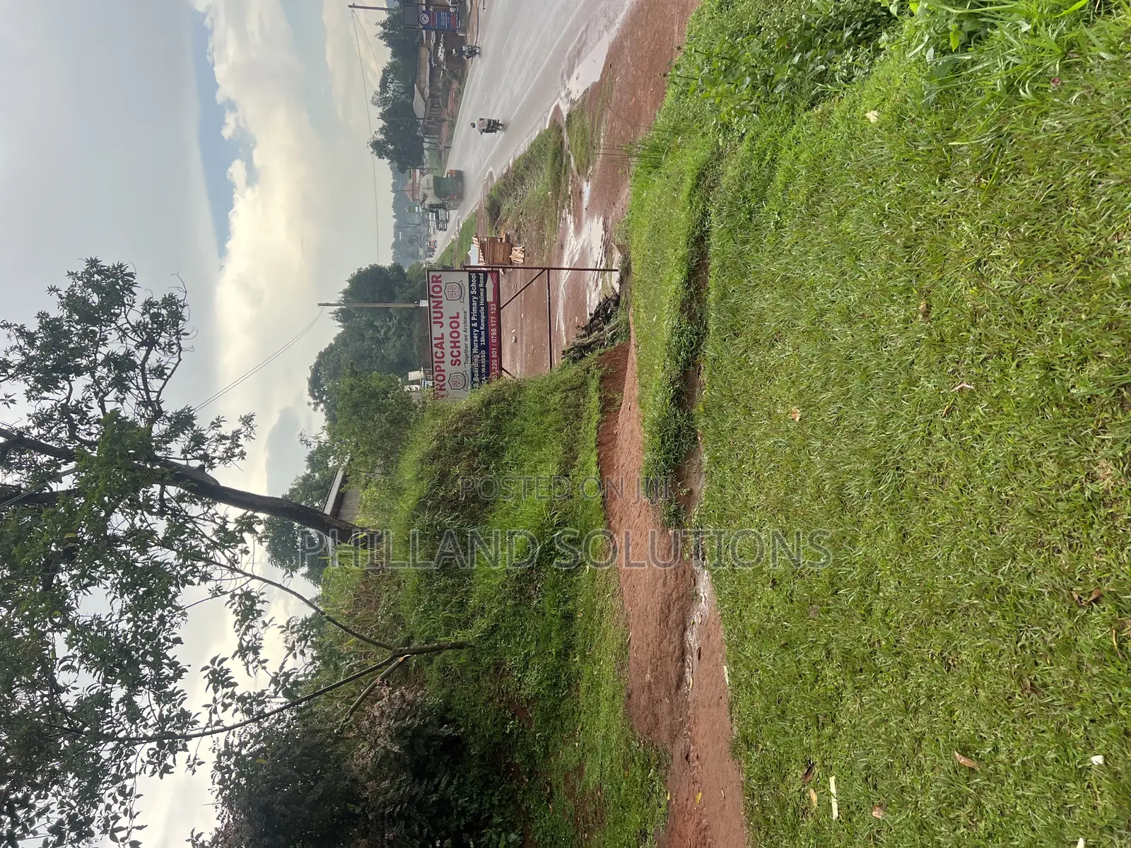 Plot 100ft by 100ft Along Hoima Road Highway at Selinya