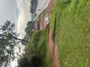 Plot 100ft by 100ft Along Hoima Road Highway at Selinya
