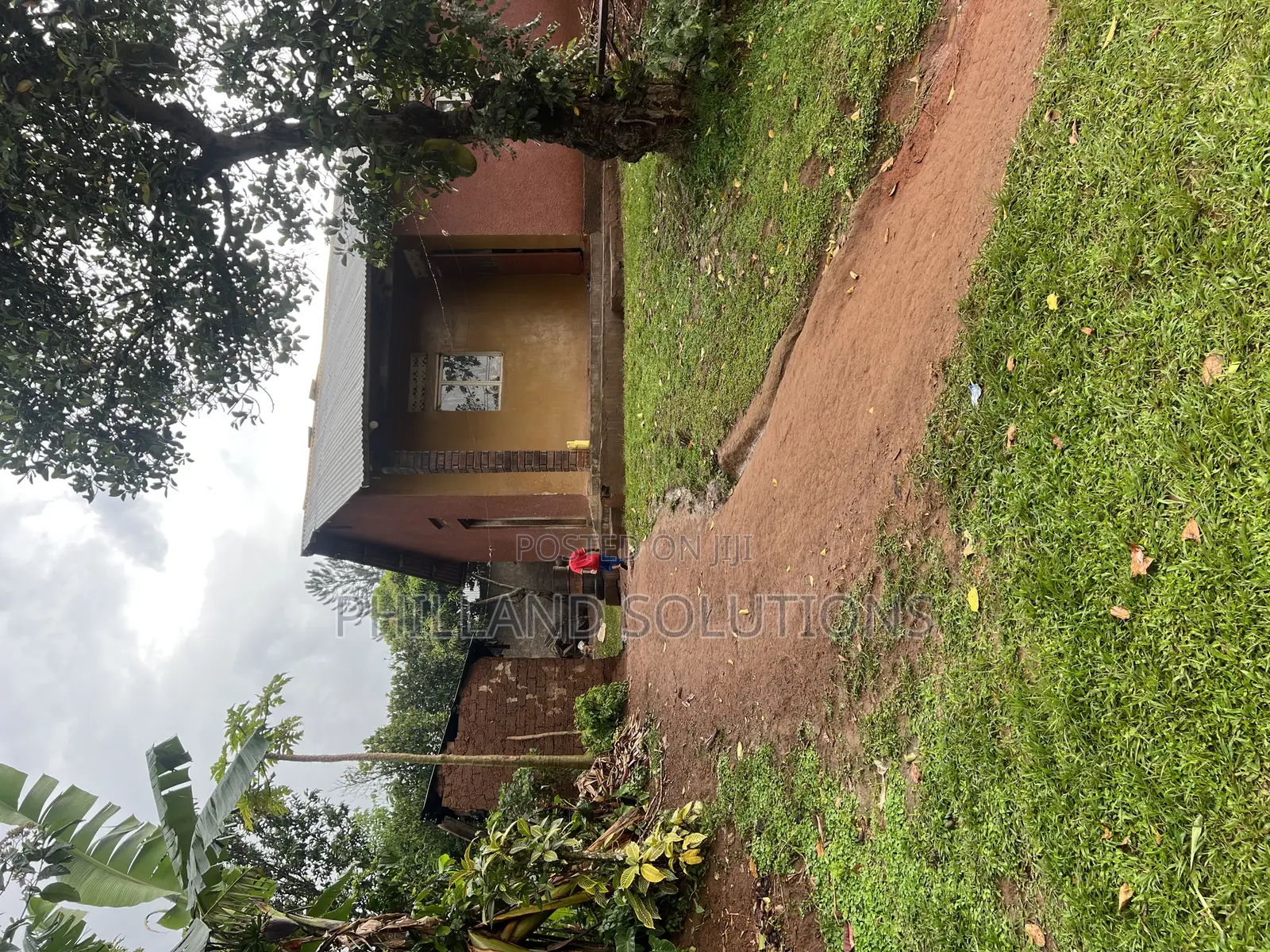 Plot 100ft by 100ft Along Hoima Road Highway at Selinya