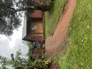 Plot 100ft by 100ft Along Hoima Road Highway at Selinya