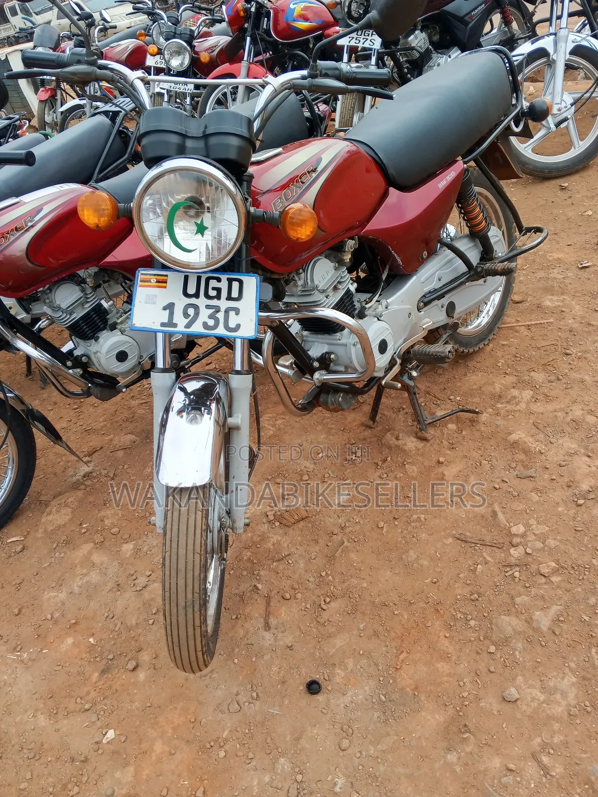 Bajaj Boxer 100 2024 Red