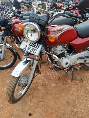Bajaj Boxer 100 2024 Red