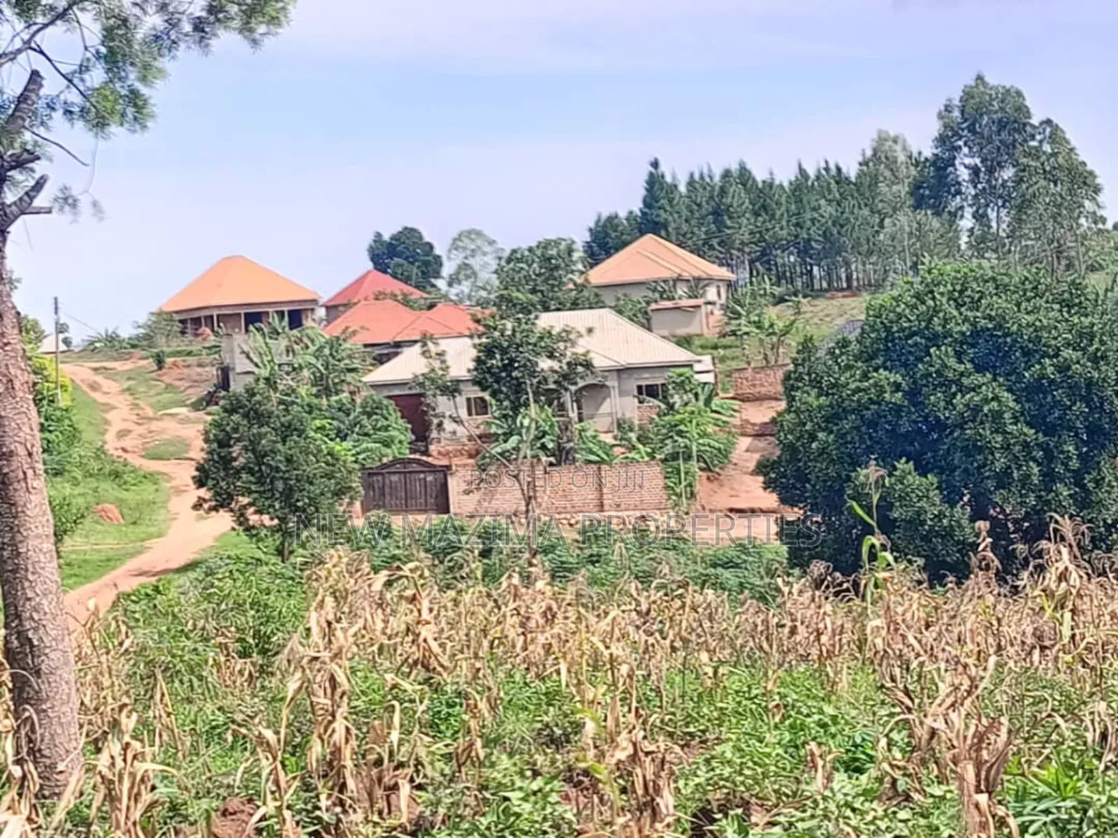 Titled Plot on Quicksale in Heart of Matuga Kavule Town