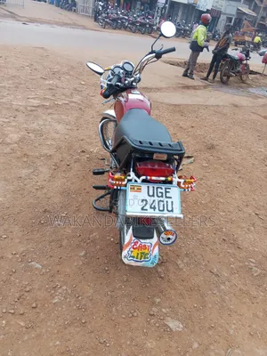 Bajaj Boxer 100 2024 Red