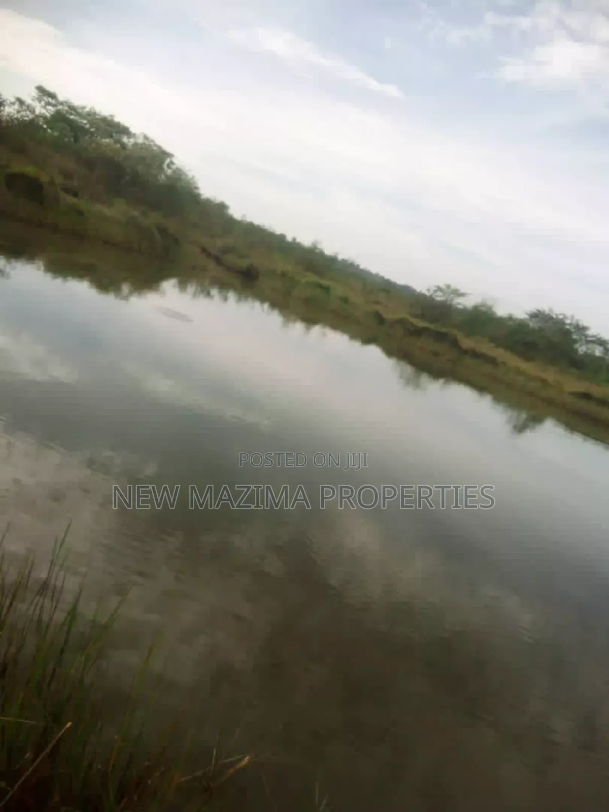100 Acres of Farm Land With Mature Mangoes Coffee Dam Onsale