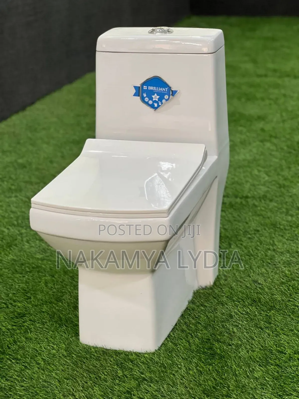 Toilet Complete Set