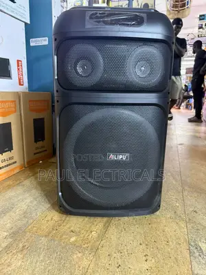 Ailipu Portable Charging Speaker