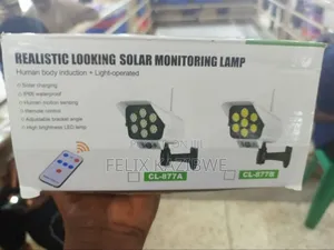 Realistic Looking Solar Monitoring Lamp .