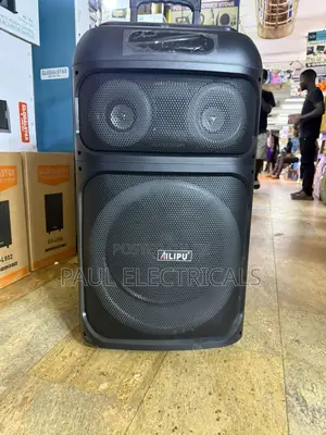 Ailipu Charging Speaker