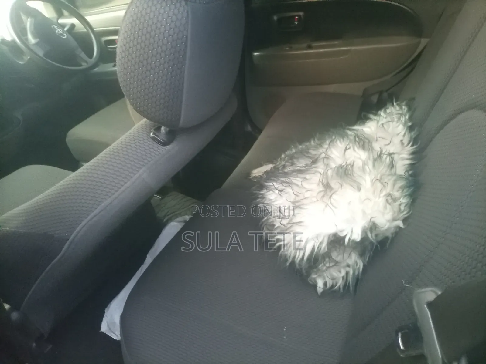 Toyota Passo 1.0 FWD 2006 Silver
