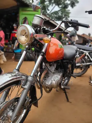 Suzuki 2016 Orange