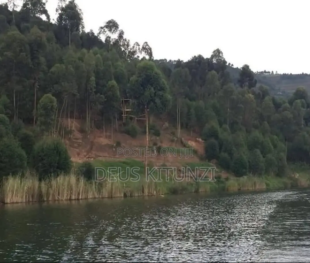 Land for Sale on Shores of Lake Bunyonyi