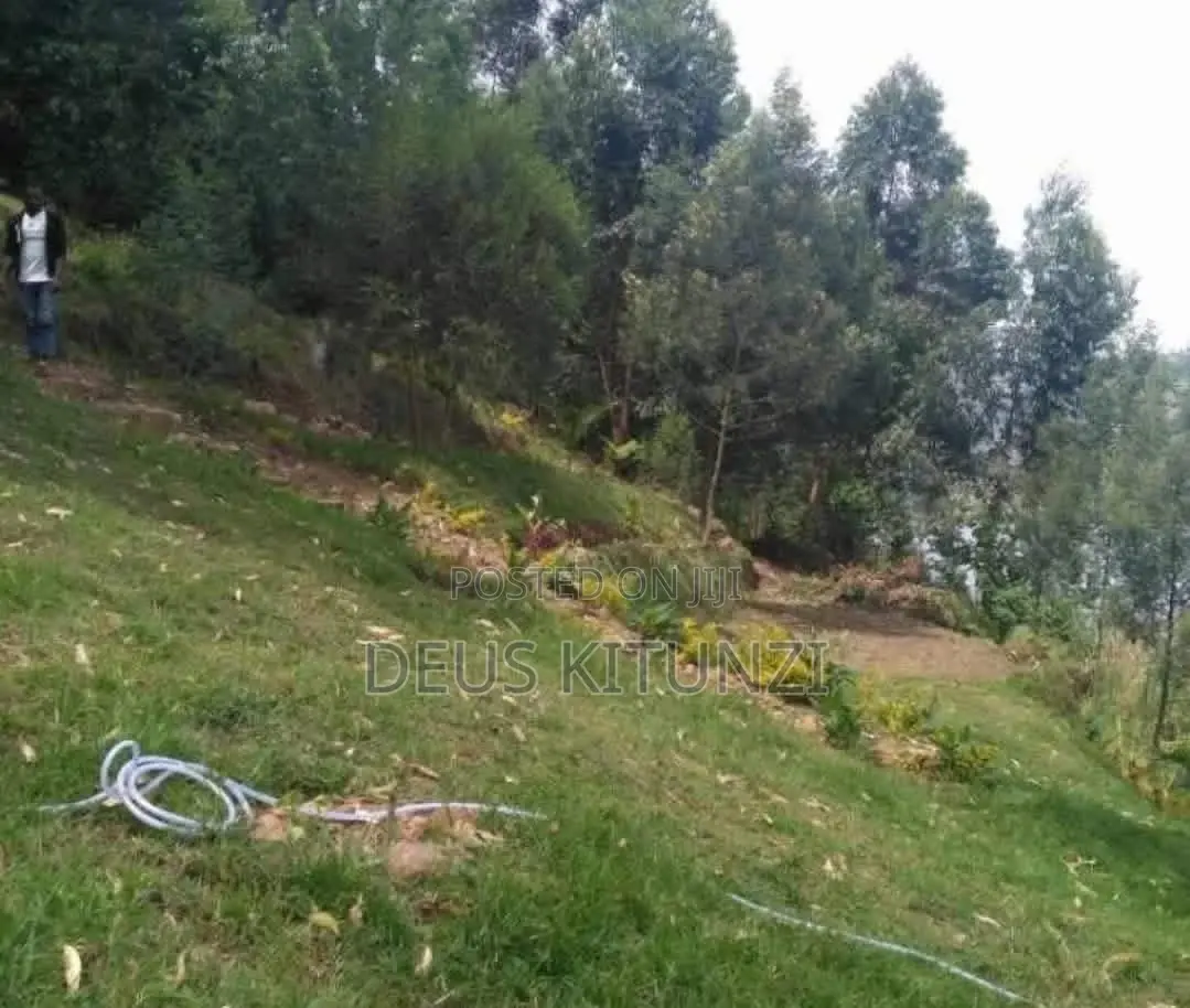 Land for Sale on Shores of Lake Bunyonyi