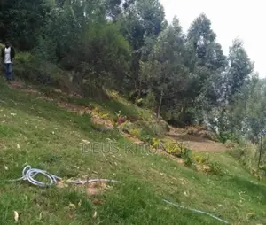 Land for Sale on Shores of Lake Bunyonyi