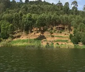Land for Sale on Shores of Lake Bunyonyi