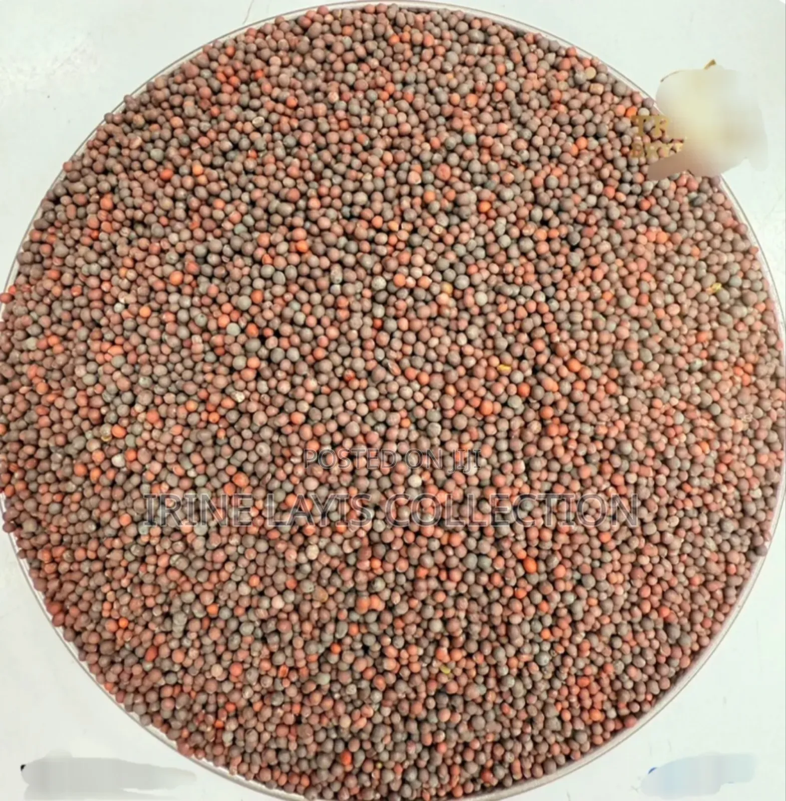 1kg of Whole Masoor Dal or Brown Lentils.