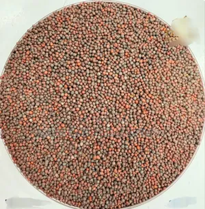 1kg of Whole Masoor Dal or Brown Lentils.