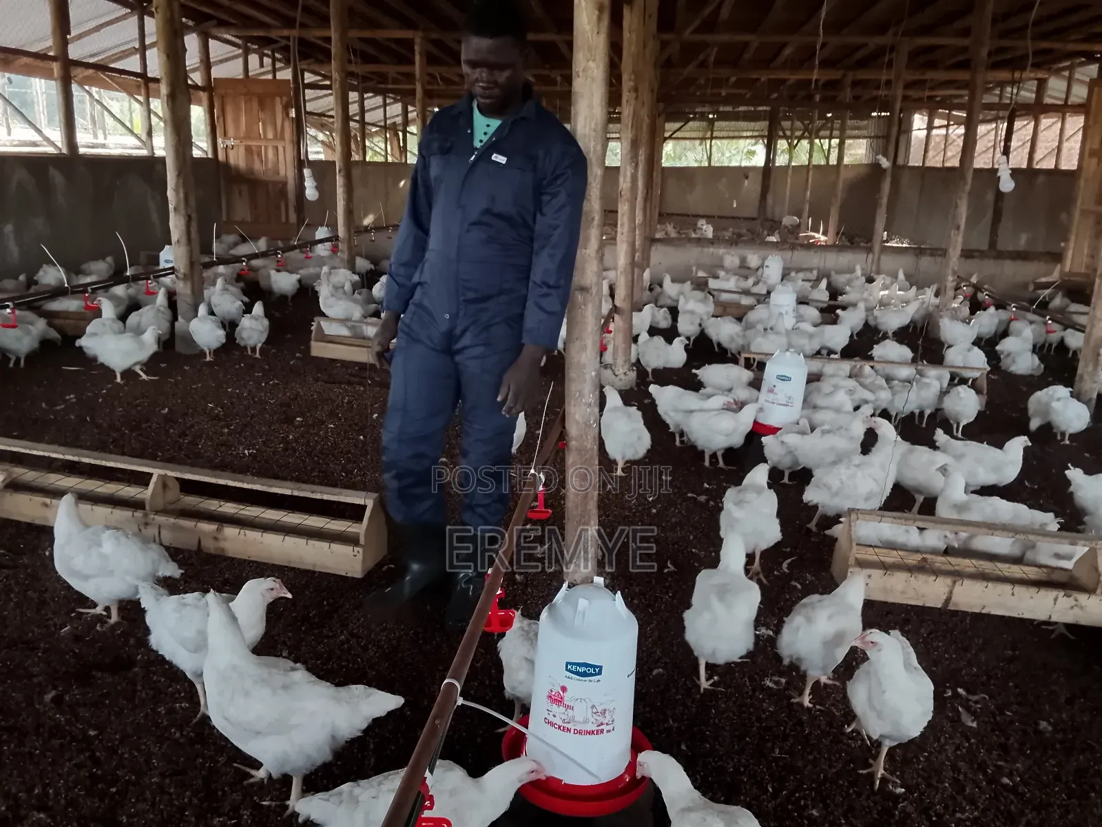 Water System for Chicken