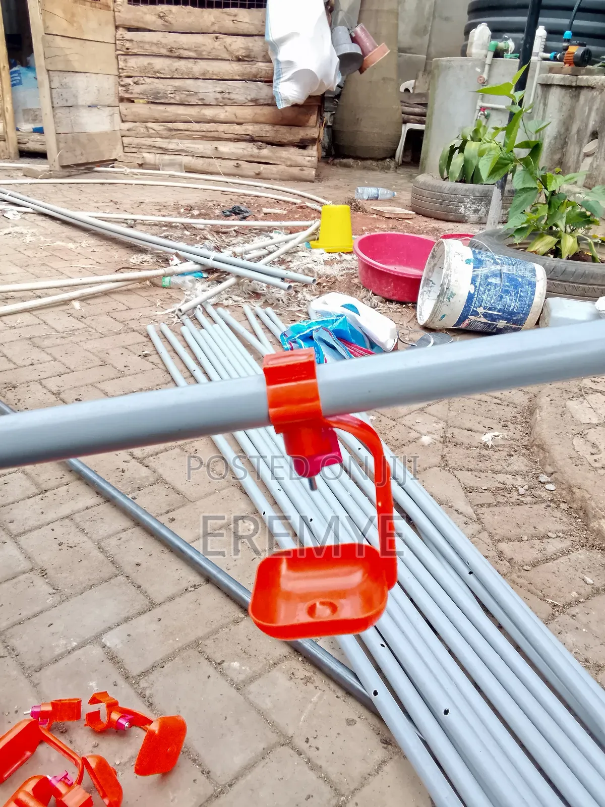 Water System for Chicken