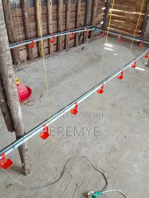 Water System for Chicken