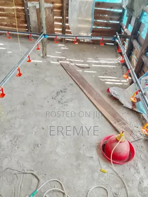 Water System for Chicken