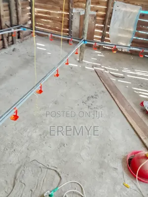 Water System for Chicken