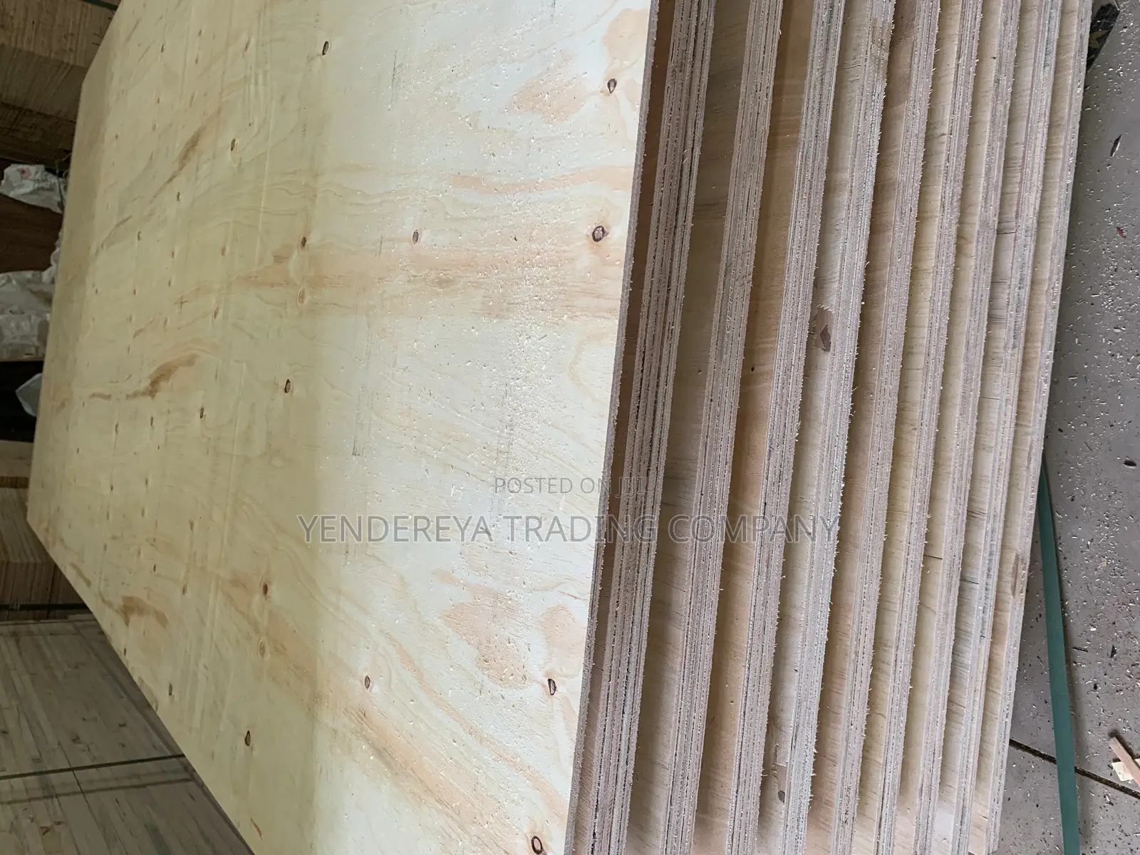 Ordinary Plywood