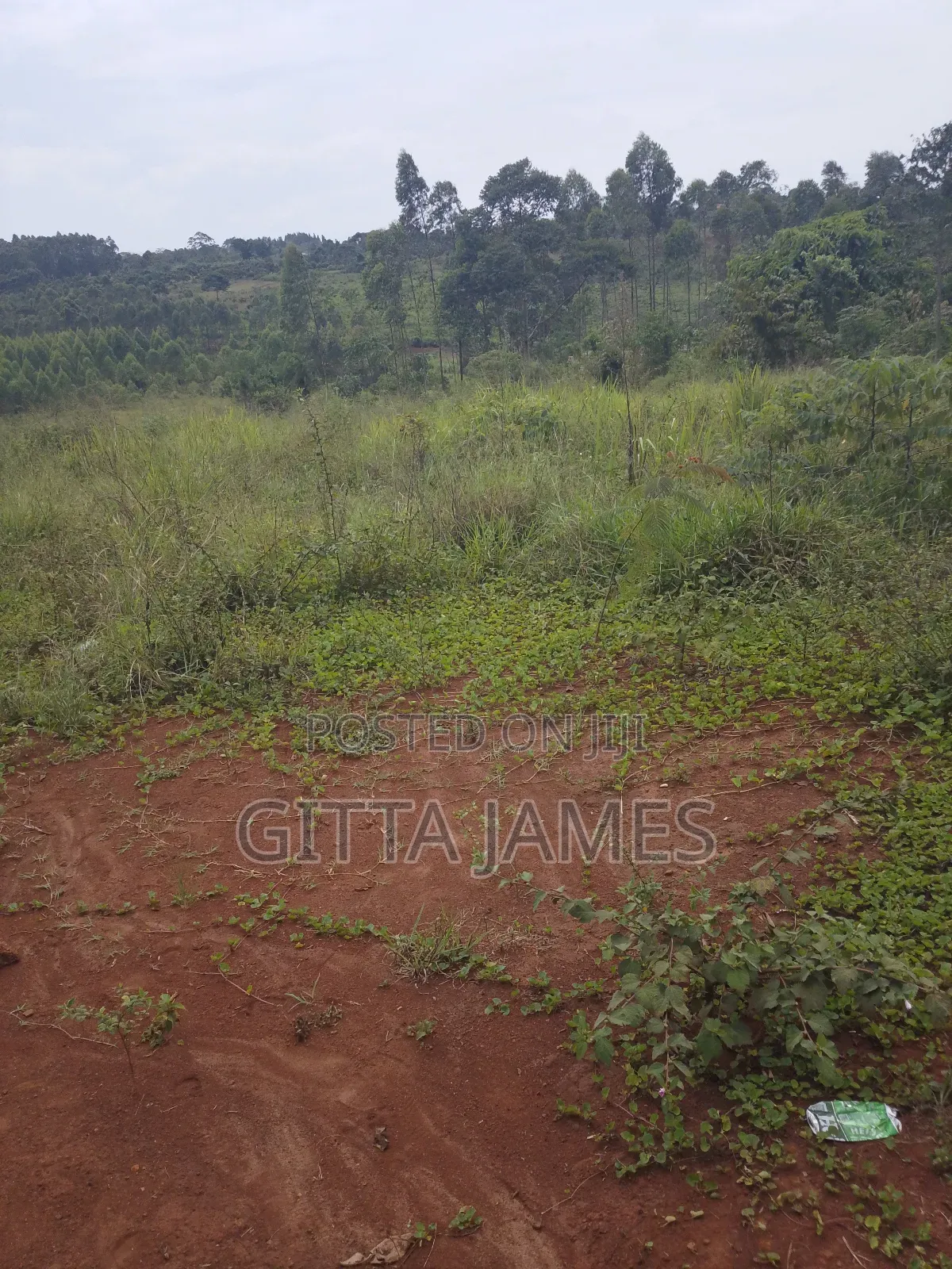 8 Plots for Sale in Kisoga Banda 100 Metres From the Tarmac Road
