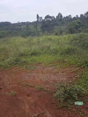 8 Plots for Sale in Kisoga Banda 100 Metres From the Tarmac Road