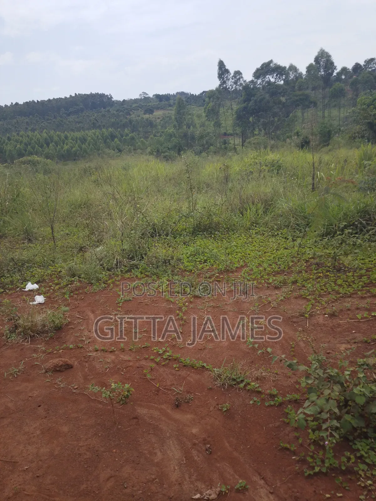 8 Plots for Sale in Kisoga Banda 100 Metres From the Tarmac Road