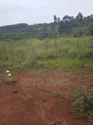 8 Plots for Sale in Kisoga Banda 100 Metres From the Tarmac Road