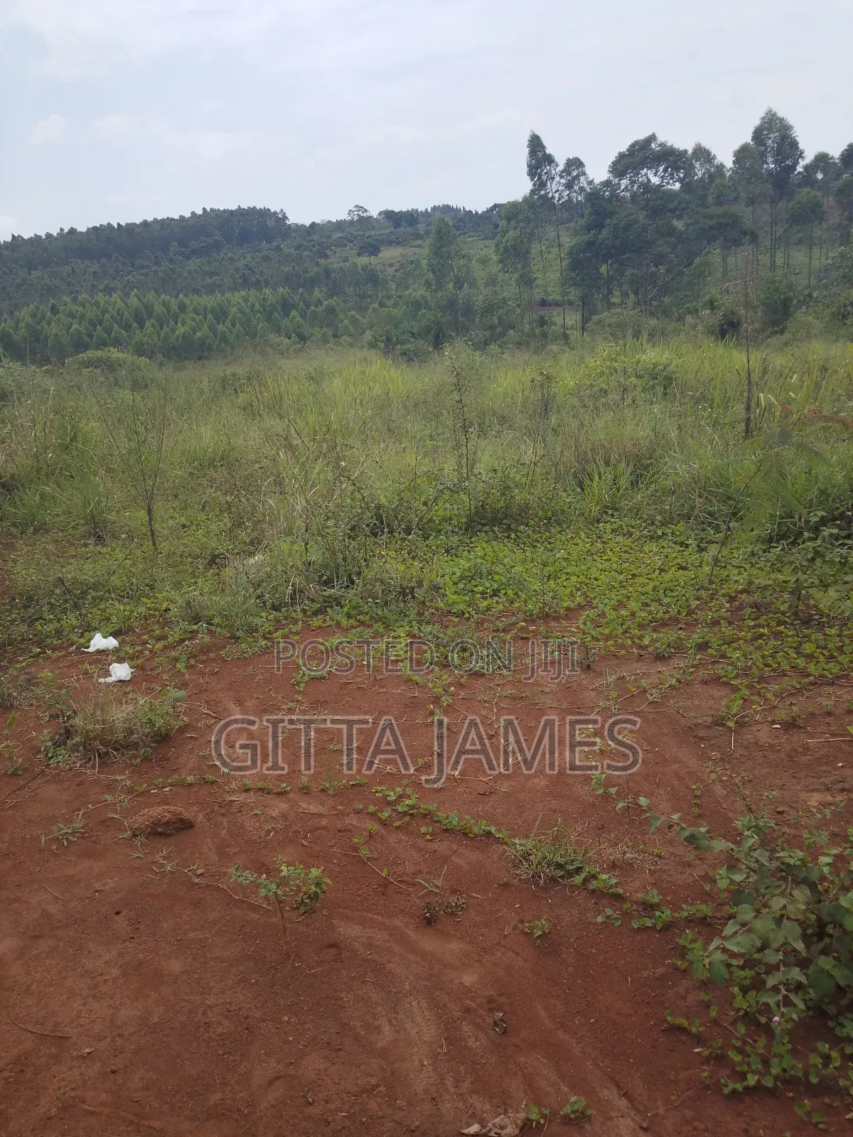 8 Plots for Sale in Kisoga Banda 100 Metres From the Tarmac Road