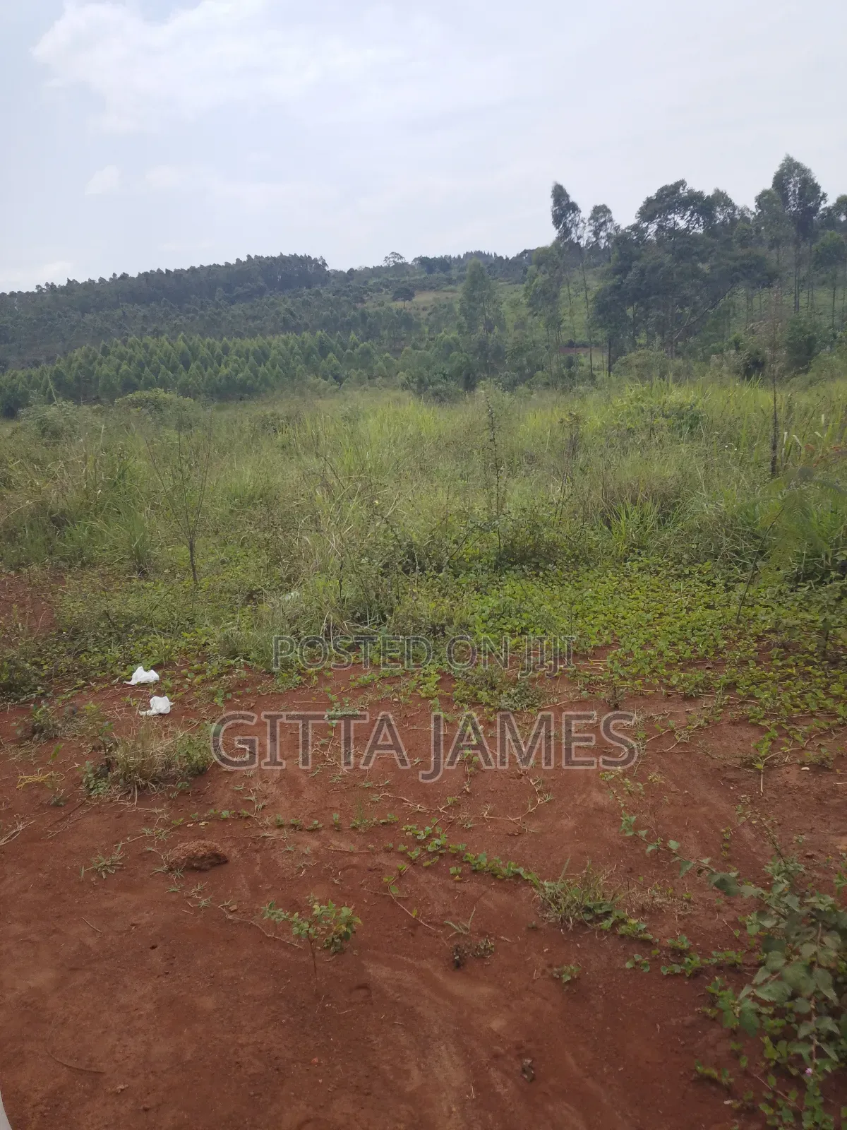 8 Plots for Sale in Kisoga Banda 100 Metres From the Tarmac Road