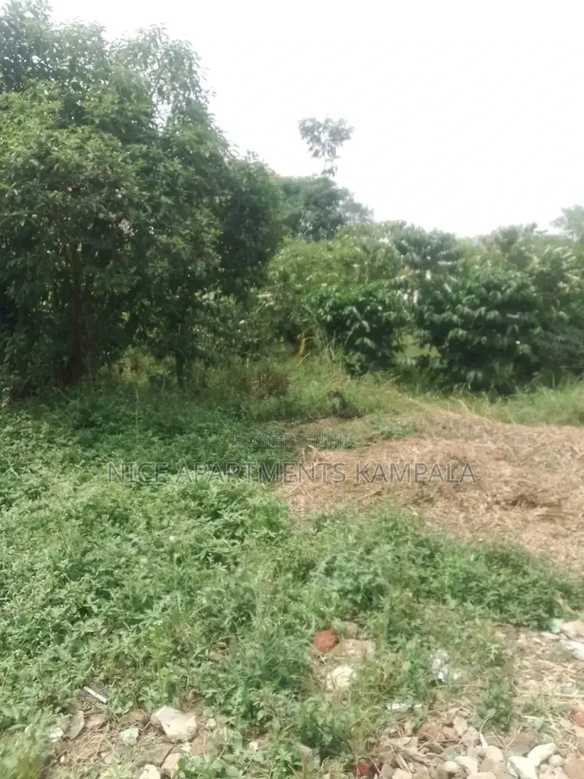 Naalya 100x50 Plot for Sale