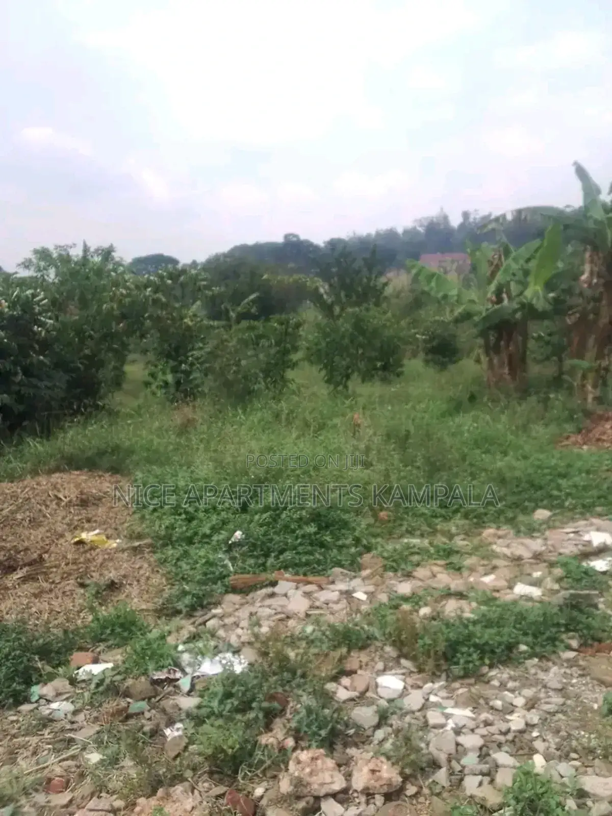 Naalya 100x50 Plot for Sale