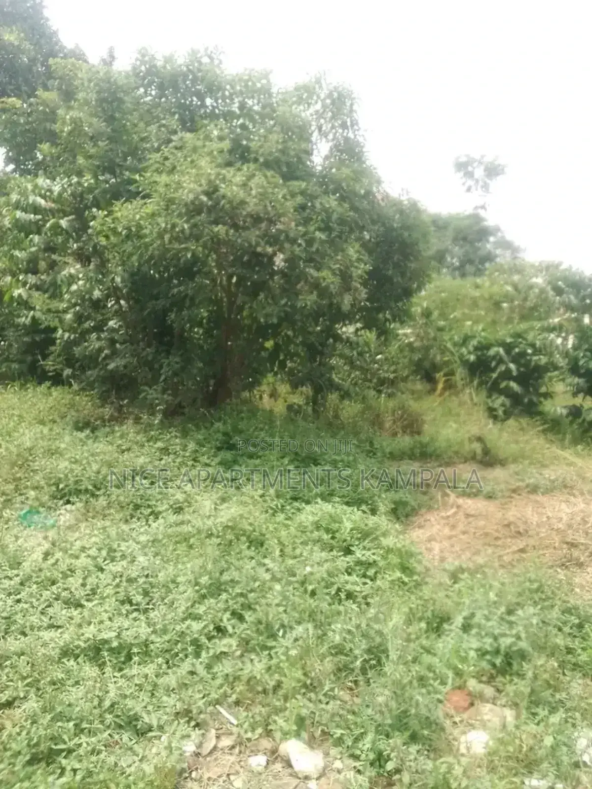 Naalya 100x50 Plot for Sale