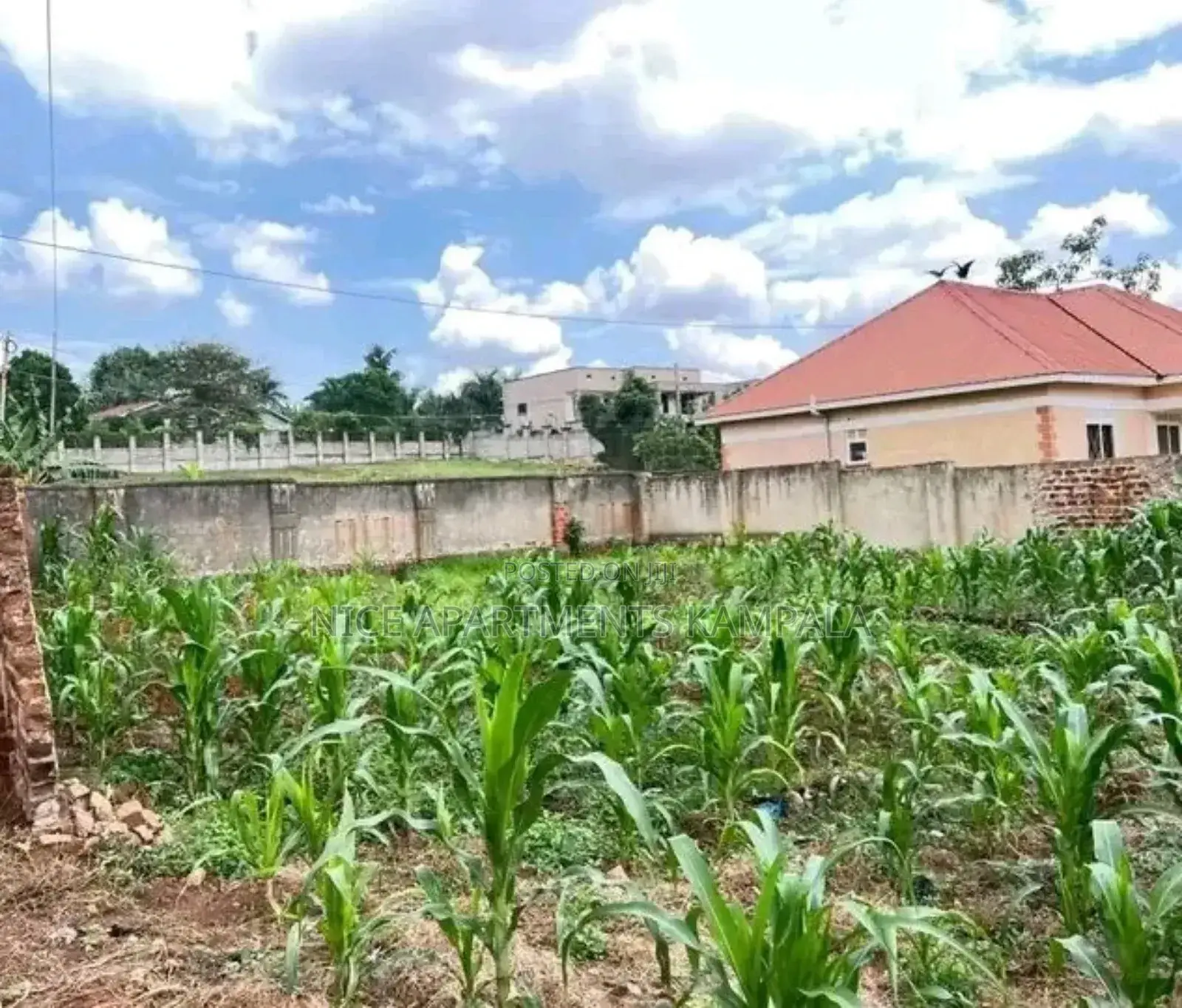 Naalya 100x50 Plot for Sale