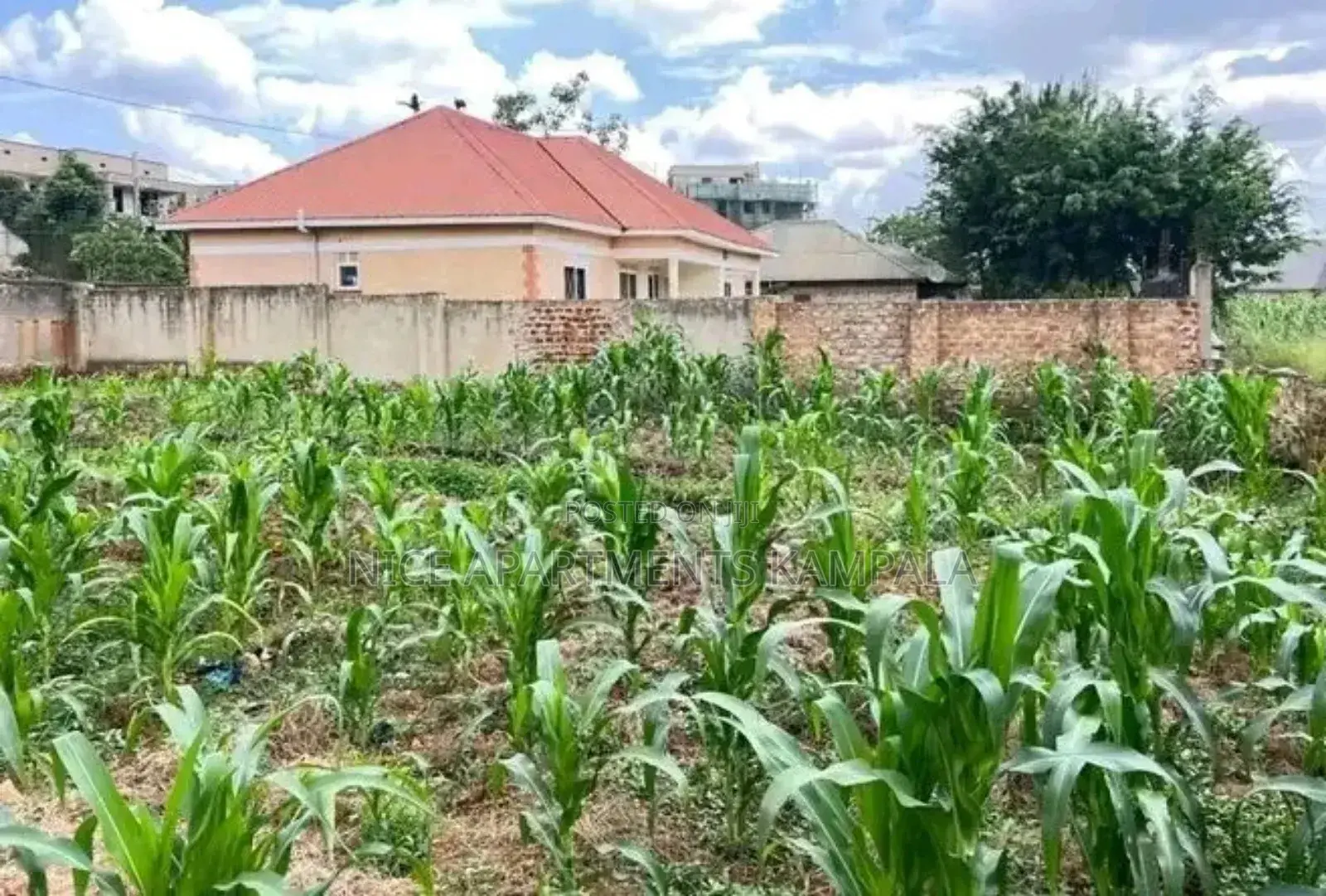 Naalya 100x50 Plot for Sale