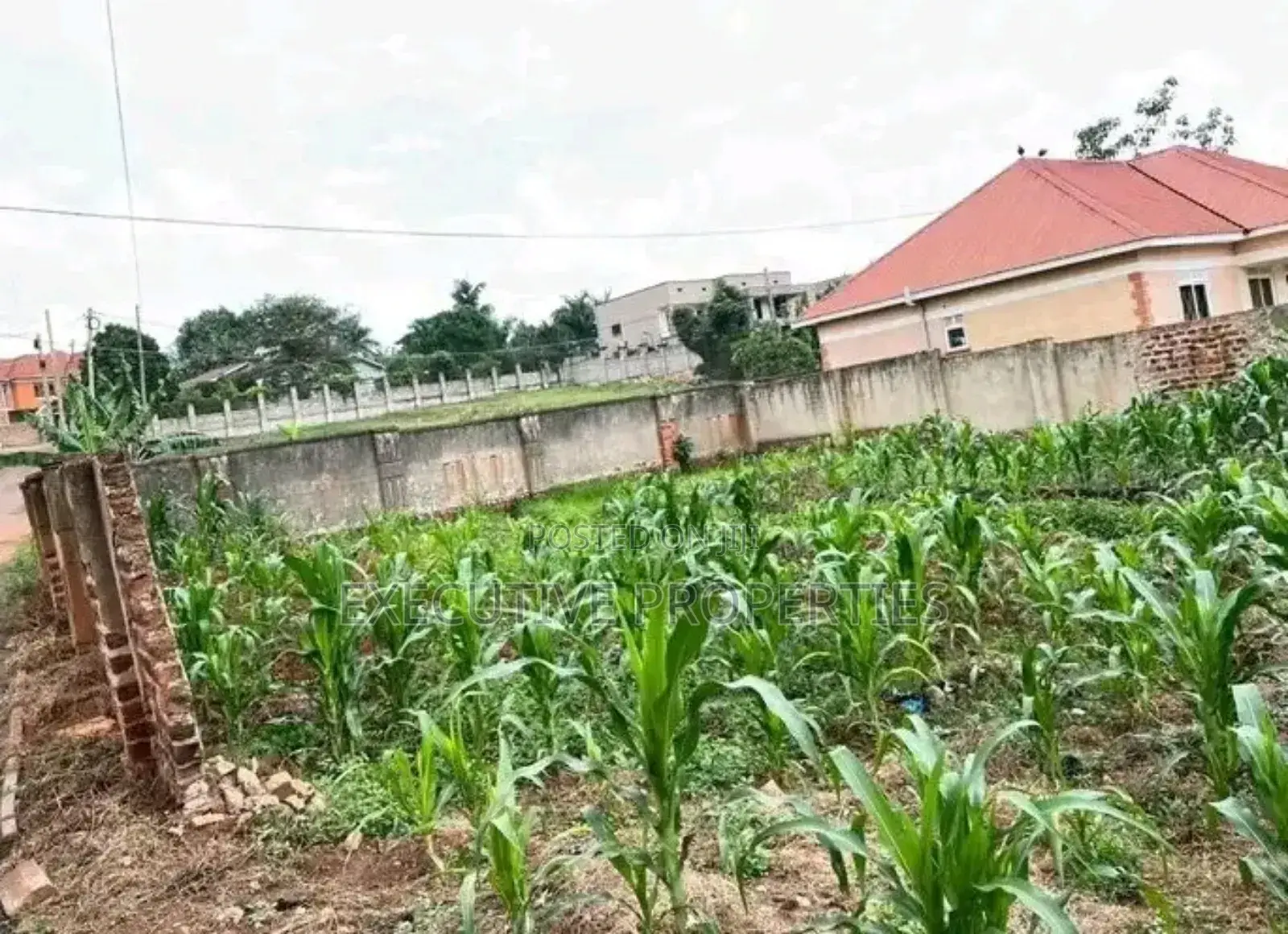 Naalya 100x50 Plot for Sale