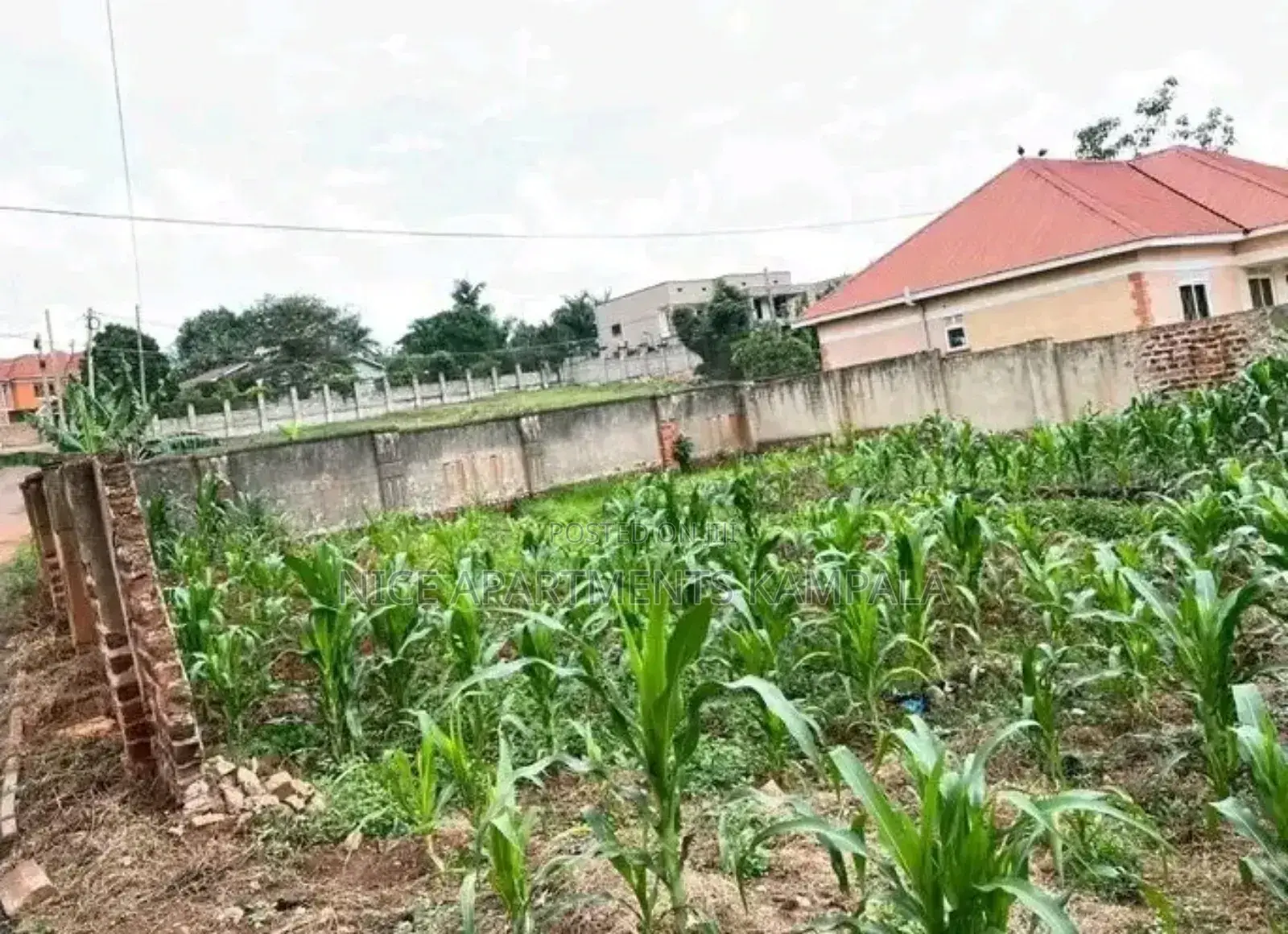 Naalya 100x50 Plot for Sale